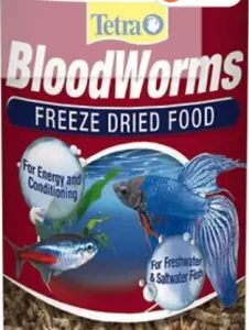 bloodworm