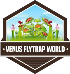 venus flytrap tour