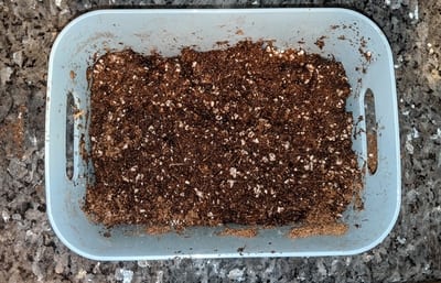 venus flytrap soil