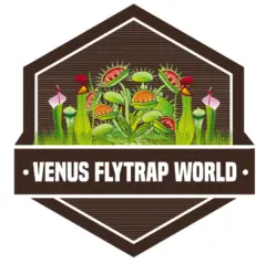 Venus Flytrap World