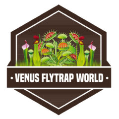 Venus Flytrap World