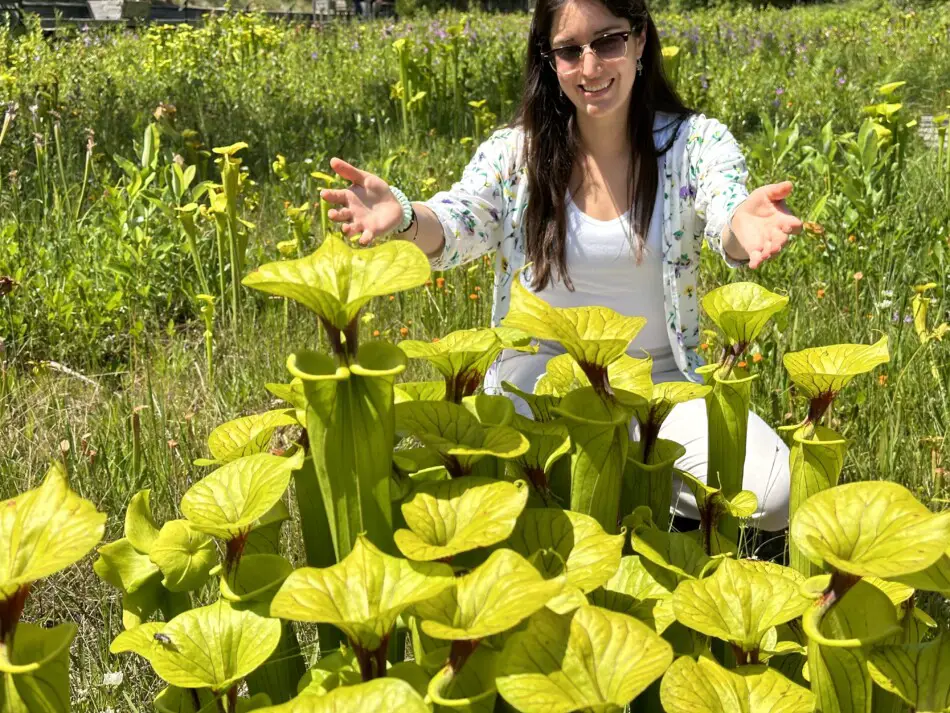 Venus Flytrap World Banner
